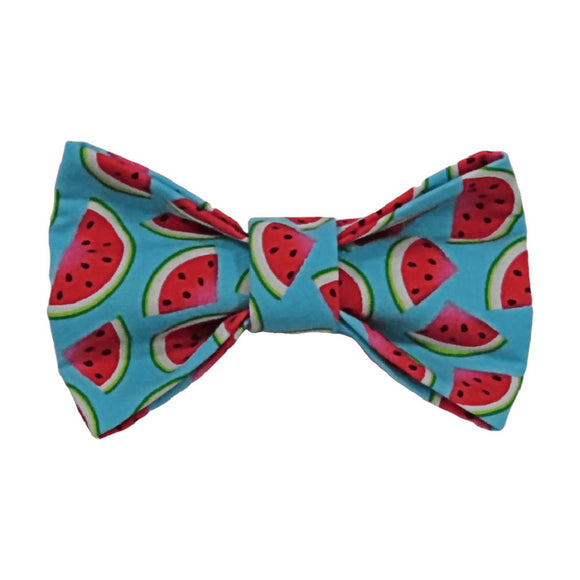 Dog Bow Tie - Summer Watermelon
