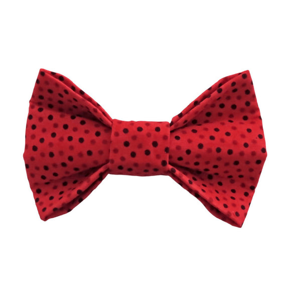 Dog Bow Tie - Lots of Little Red Dots